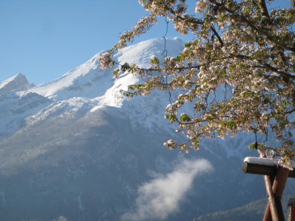 Hotel-Gasthof Nutzkaser Ramsau bei Berchtesgaden Extérieur photo
